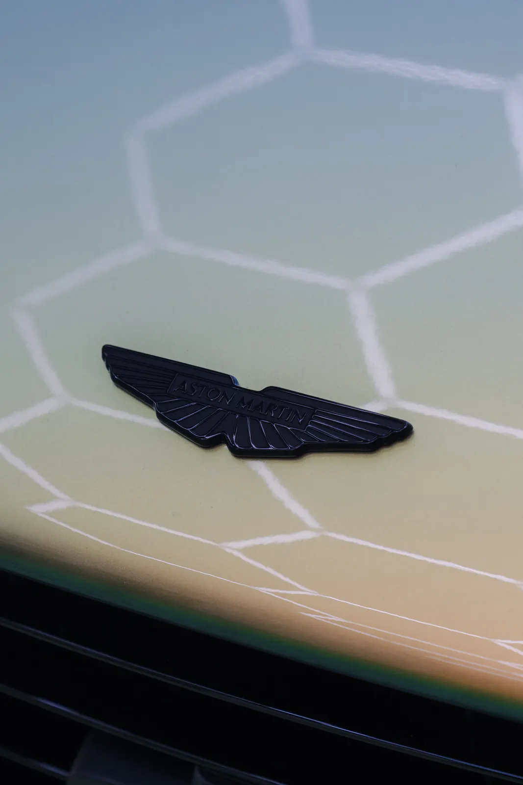 Aston Martin Valhalla hood with PPF reflecting the studio lights at Ecophant Auto